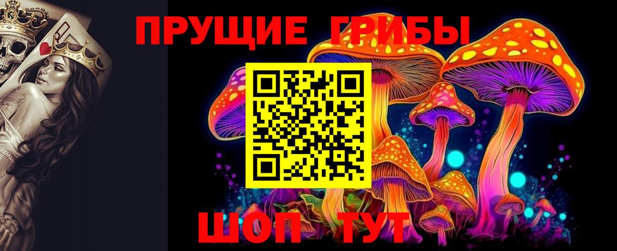 Псилоцибиновые грибы Cubensis Пушкино