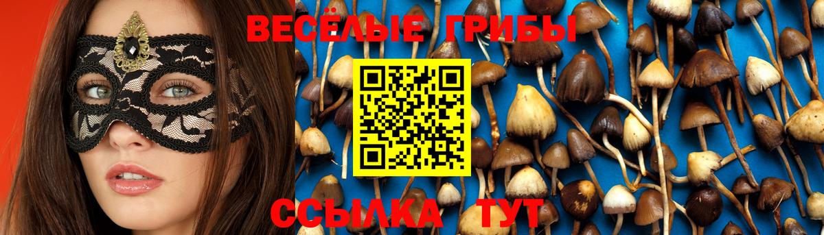 Пушкино  Псилоцибиновые грибы мухоморы  купить наркотик  Вход с VPN 